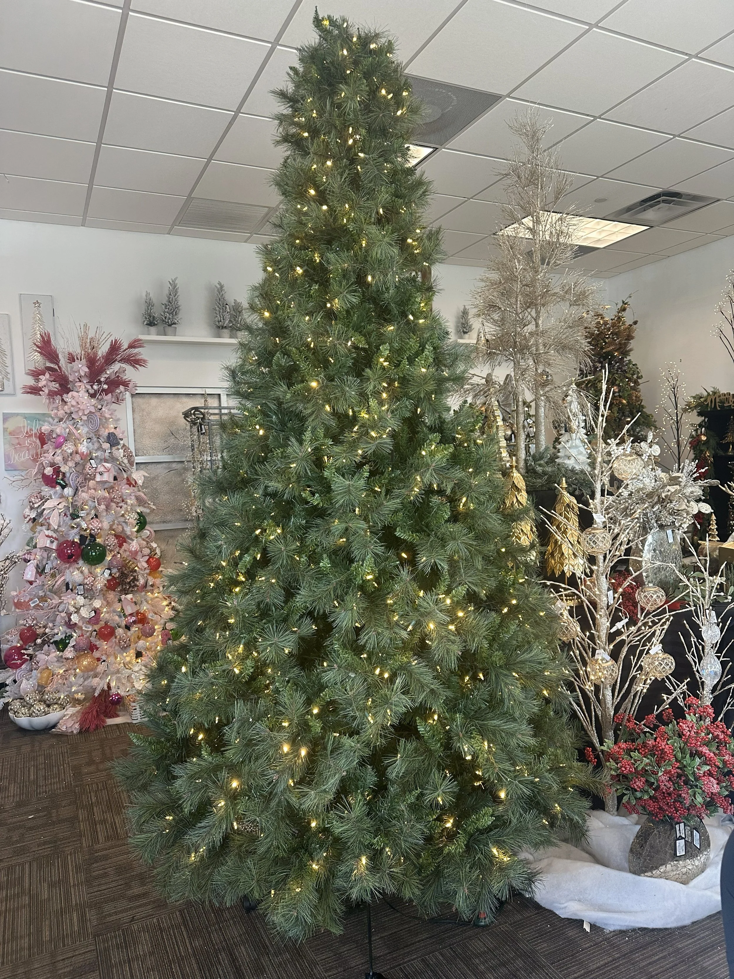 Buy Joyous Noel 1st Edition Santa | 57